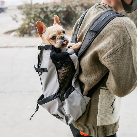 FABERA PawsPack