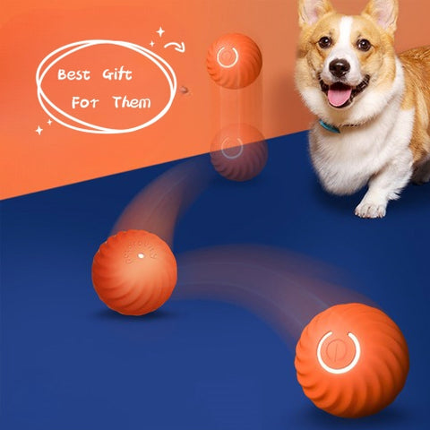 Fabera PawForce