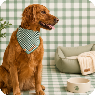 Pet Essentials