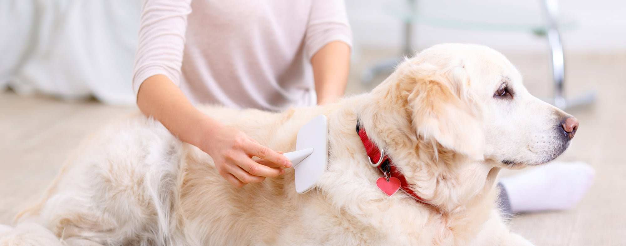 FABERA Signature Essentials