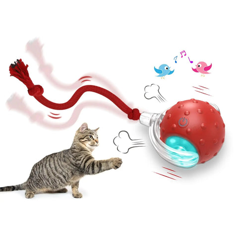 Fabera PawSpin